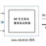 <strong>Aoku-GB28181网关</strong>